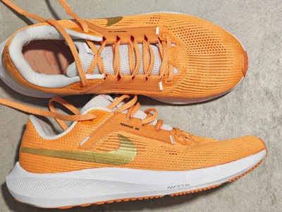 Кроссовки Nike Air Zoom Pegasus 40