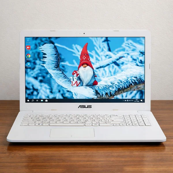 Ноутбук Asus Intel Celeron N3350 4GB 256GB SSD