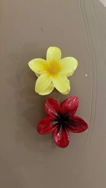 Крабики для волос (2 шт.)