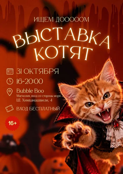 Котята