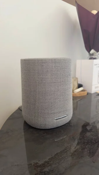 Google assistant