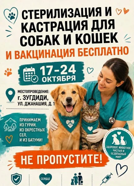 Золотистый ретривер