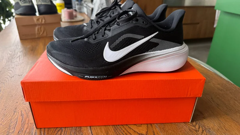 Nike Pegasus 42.
