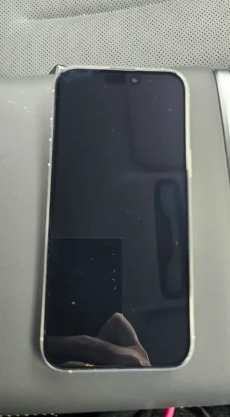 iPhone 16 Pro Max 256 GB