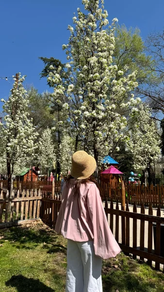 куртка, кофта, жакет, пиджак, свитшот