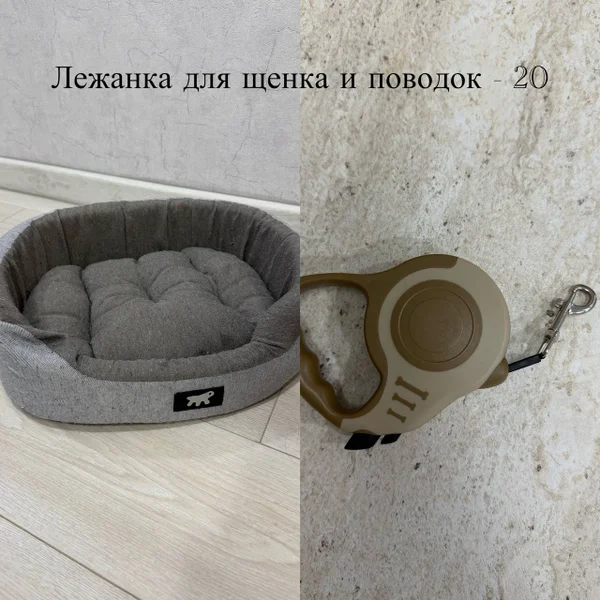 Лежанка для щенка и поводок