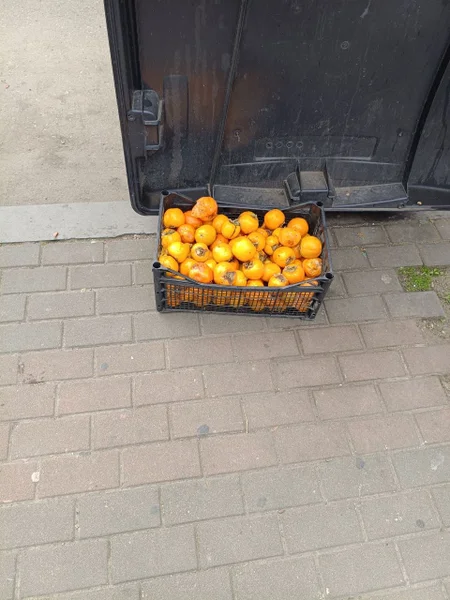 Апельсин