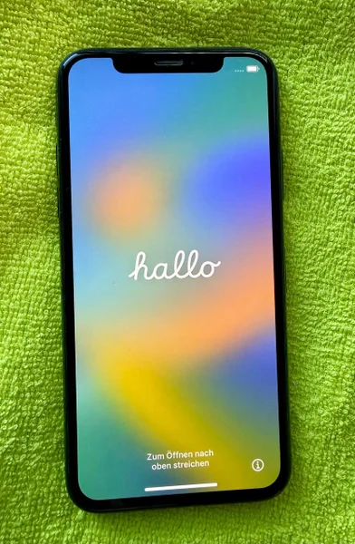 iPhone X