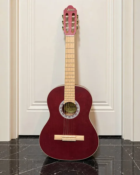 Классическая гитара Valencia VC354WR 4/4 с чехлом