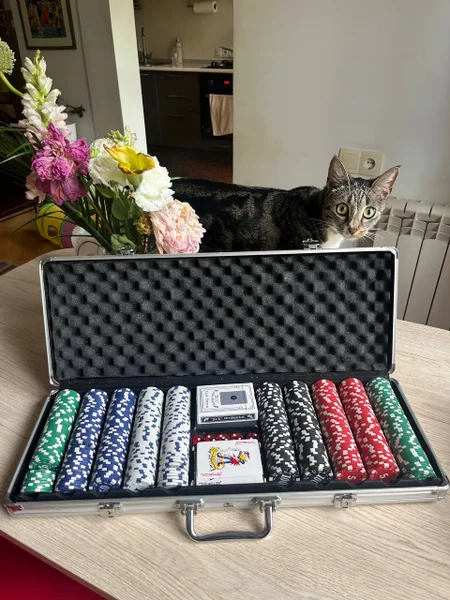 Набор Texas Hold’em Casino Style, 200 фишек