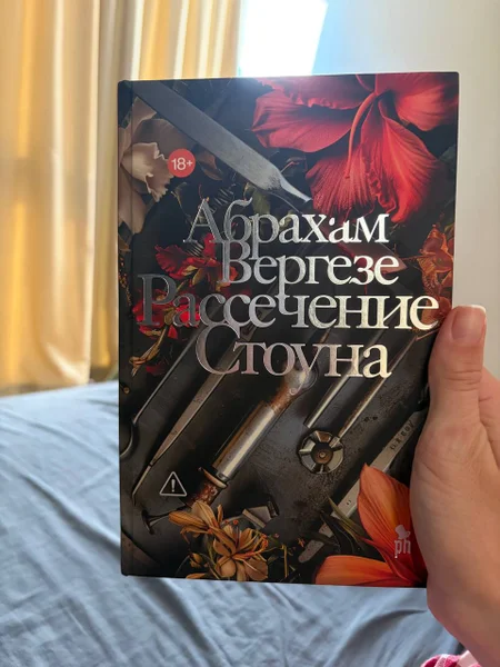 Рассечение Стоуна. роман