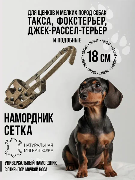 Намордник для собаки