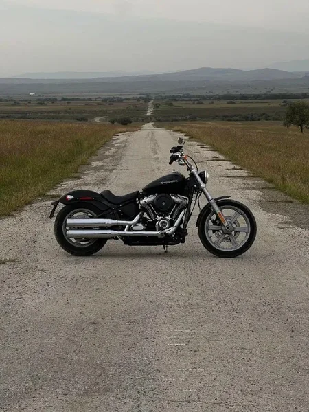 2023 Harley-Davidson Softail Standart FXST