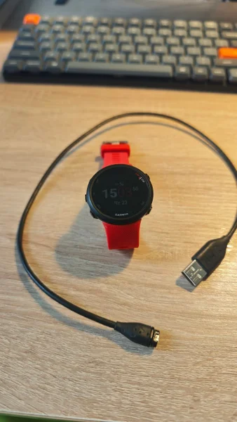 Спортивные часы Garmin Forerunner 45
