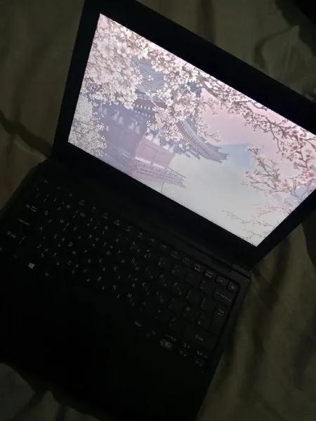 Ноутбук Acer