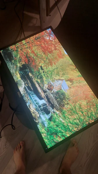 Монитор DELL 1920x1080 60Hz