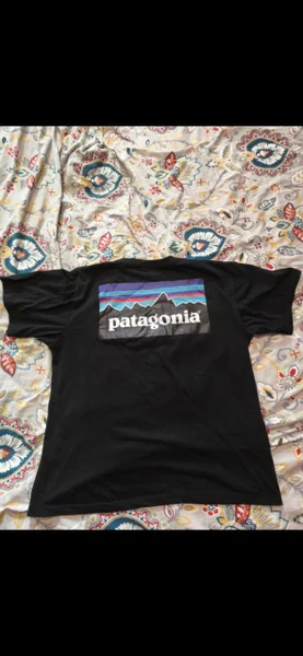 Футболка Patagonia