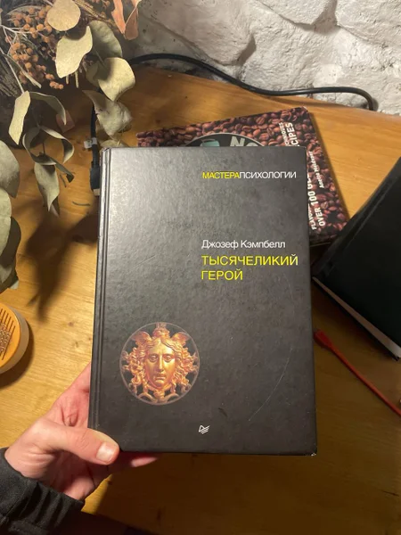 Книга «Тысячеликий герой»
