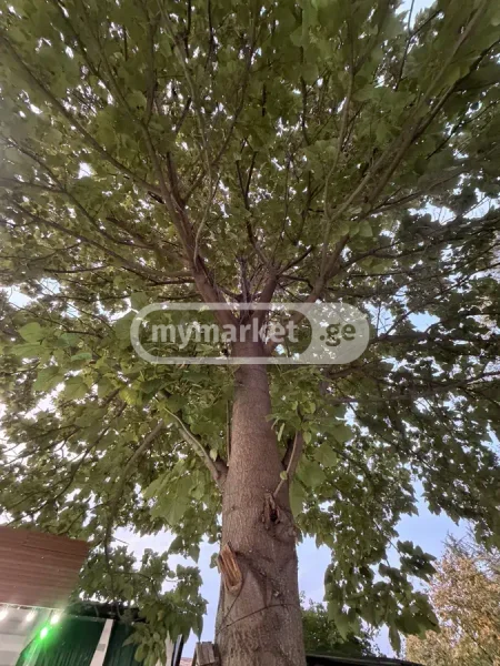 Топливный материал