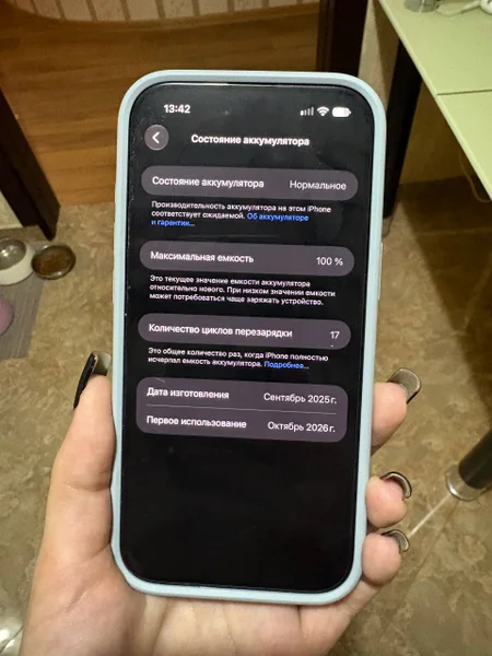 iPhone