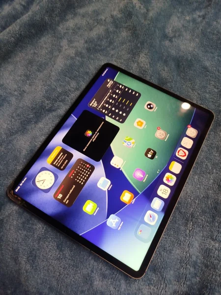 Apple iPad Pro 12.9" (5-го поколения, 2021) 256 ГБ