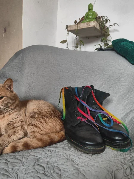🌈 ботинки dr. martens с радужными строчкой и шнурками из лимитированной коллекции.