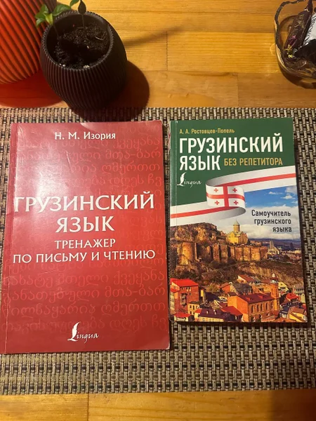 Учебник и тренажер по грузинскому языку