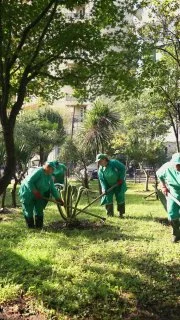 Уход за растениями в Батуми**