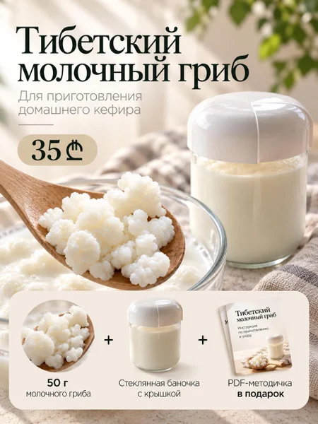 Тибетский молочный гриб 50 г с баночкой