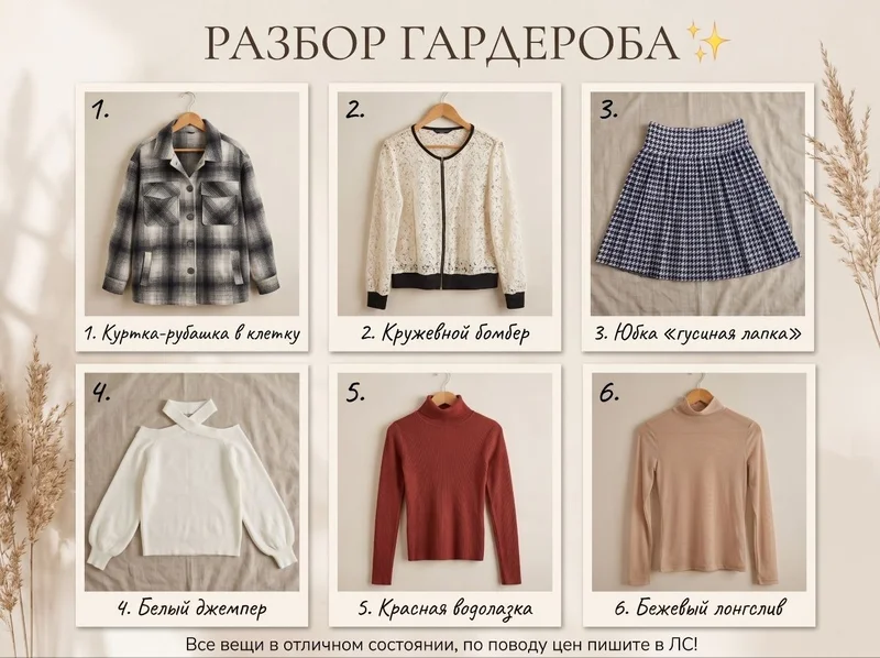 Одежда