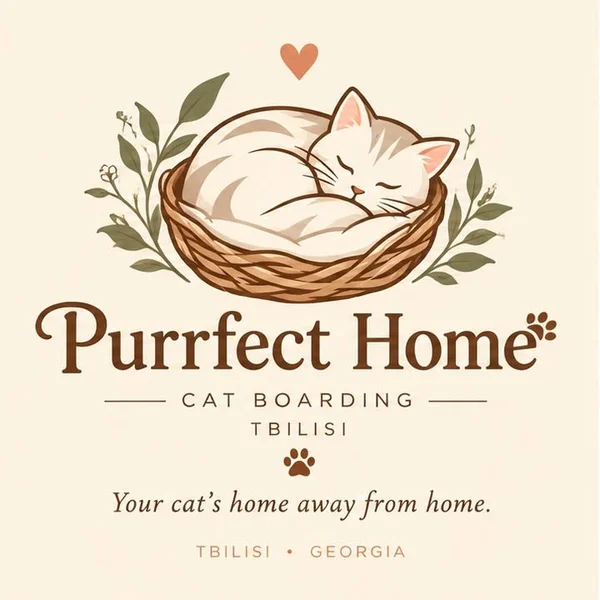 Передержка кошек Purrfect Home