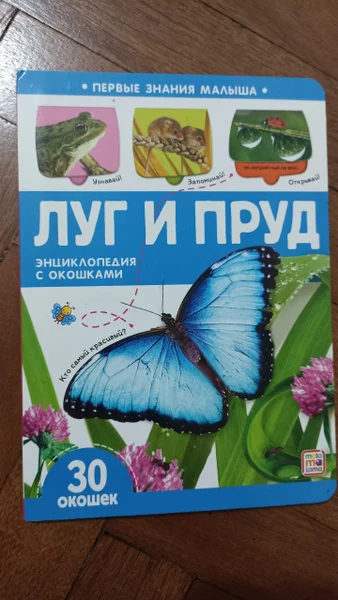 Детские игрушки и принадлежности