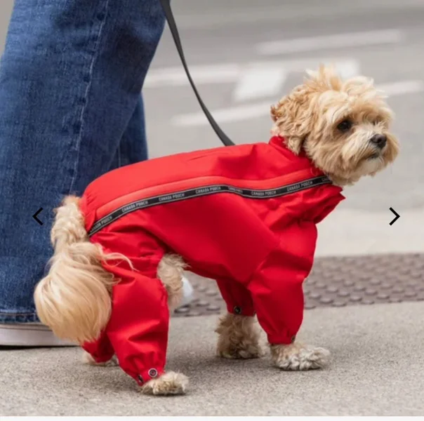 Зимний комбинезон Canada Pooch, размер 14, красный