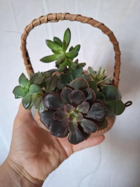 Корзинка