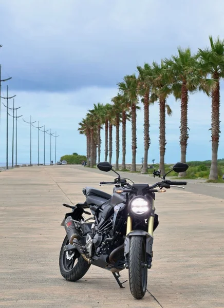 Honda CB300R 2024