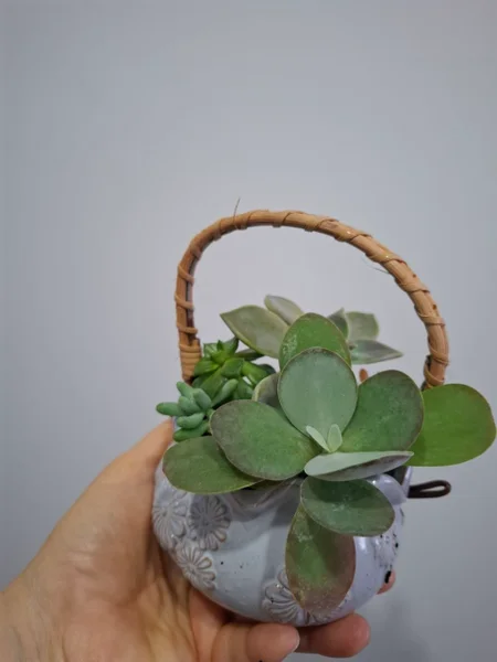 Jade