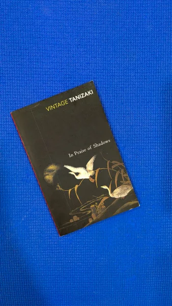 In Praise of Shadows