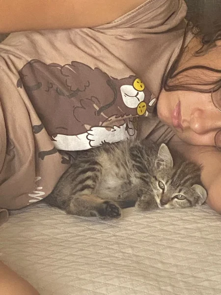 Котенок в добрые руки