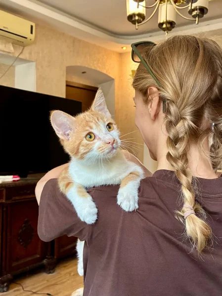 Котята Пряник и Печенька