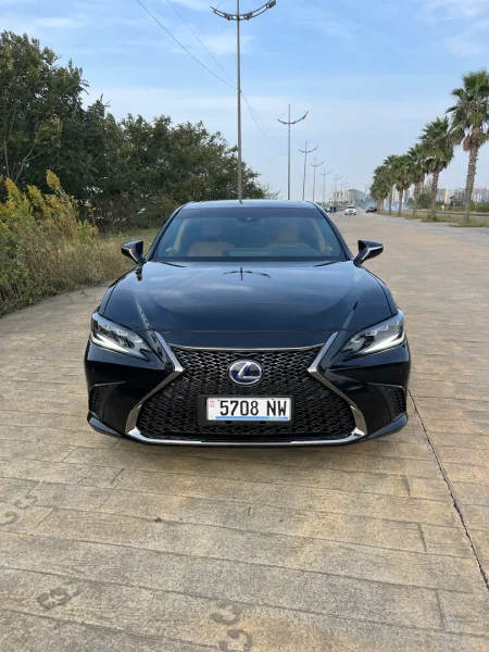 Lexus ES 300h