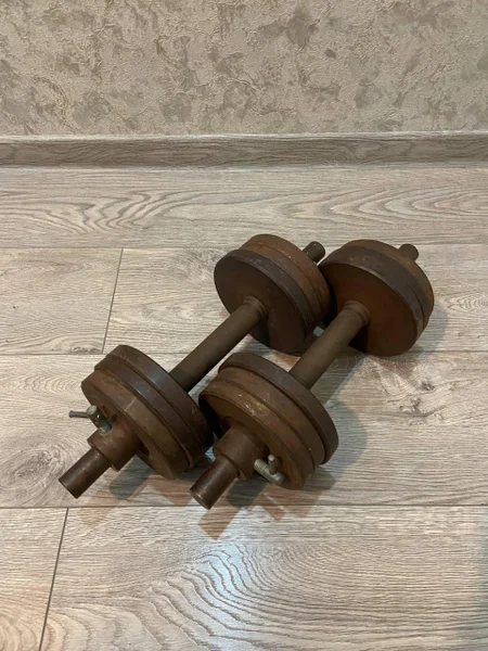 🏋️ **Продам разборные металлические гантели — 2 × 15 кг**