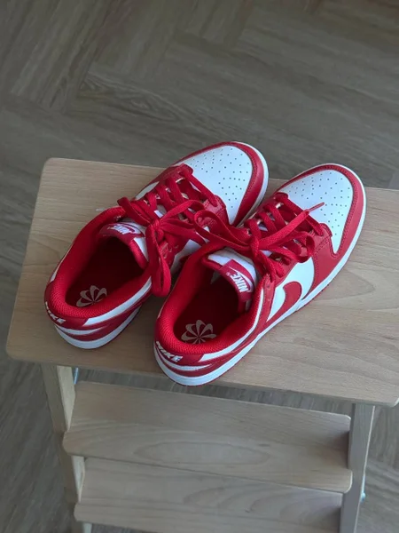 Nike Dunk Low
