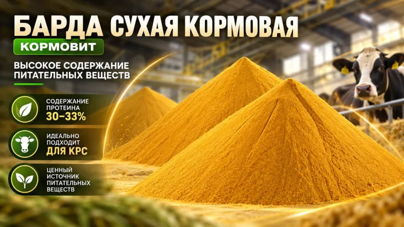 Сухая пшеничная барда