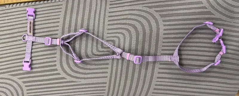 Шлейка для собак Pro Comfort