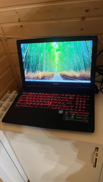 Ноутбук HP 17-by2053cl 17.3" IPS FullHD