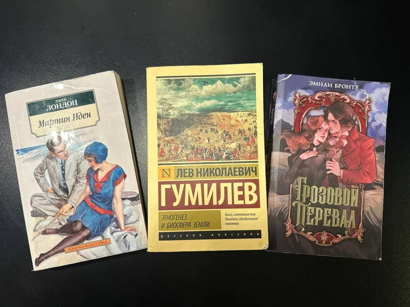 Книги (Эмиль Бронте, Лев Гумилев)