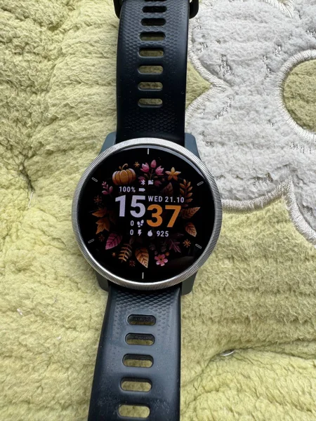 Garmin Venu 2 45mm