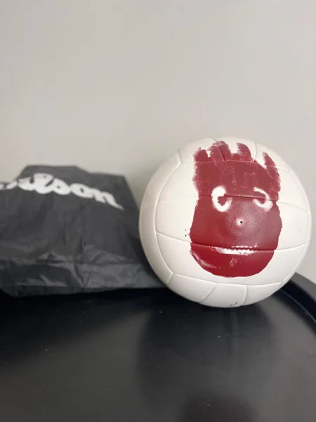 Волейбольный мяч Wilson