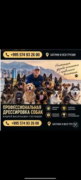 Профессиональная дрессировка собак