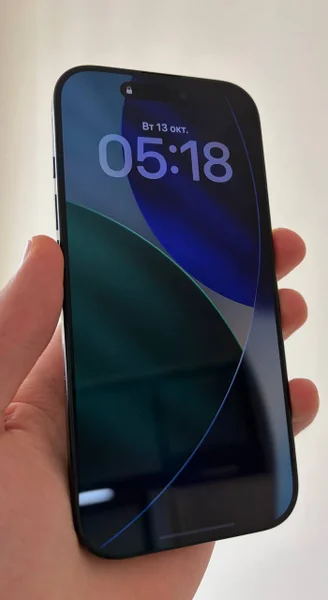 iPhone 16 Pro 256 GB